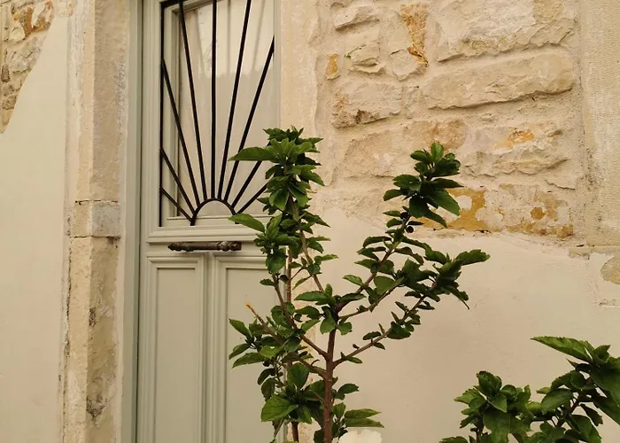 Nio's Nest Ferienhaus Gaios