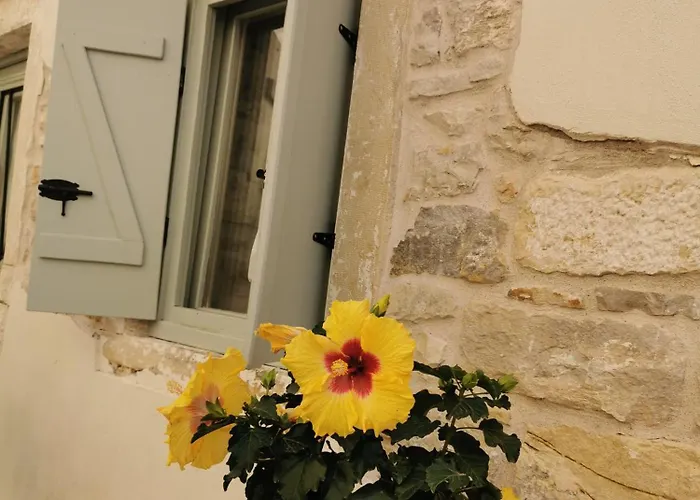 Ferienhaus Nio's Nest