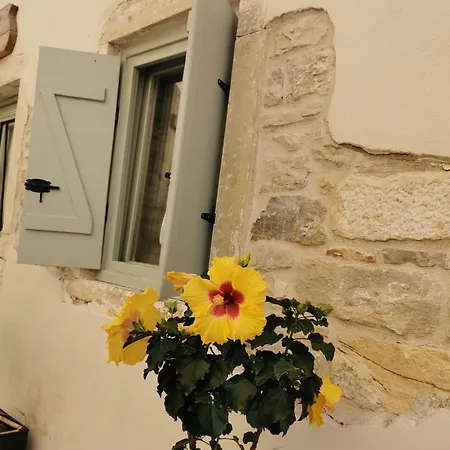 Holiday home Nio's Nest